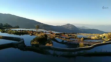 那双