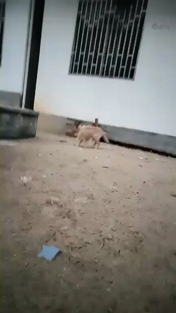 😂