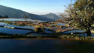 红河哈利梯田