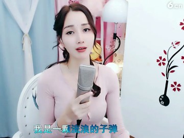 流浪的子弹
