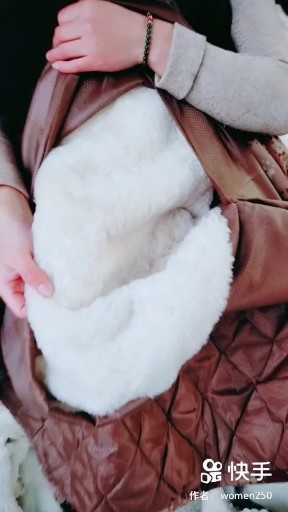阳光温暖