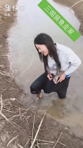 会进吗