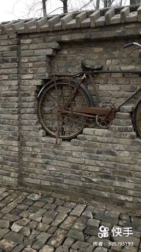 怀念青春