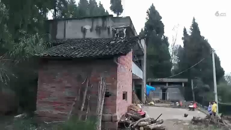 大家来看看羊上屋顶下不来了