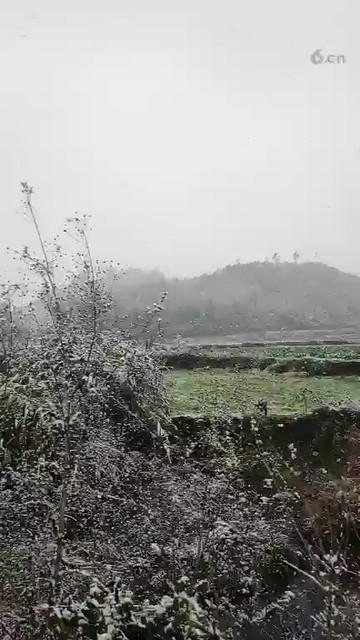 ❄❄