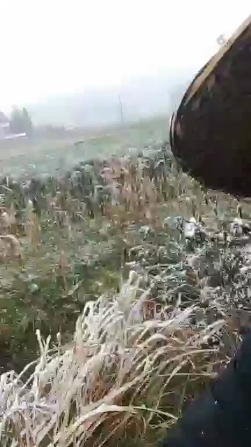 😂❄
