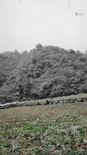 好美