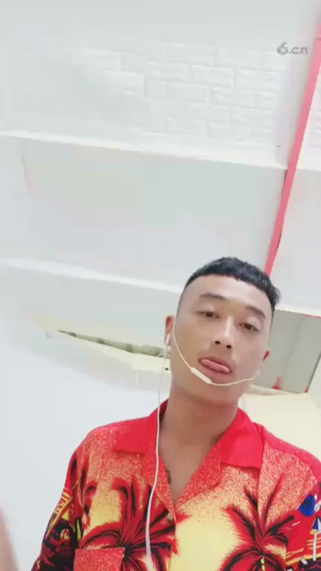 是不是