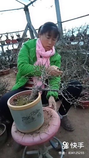 一枝桃花