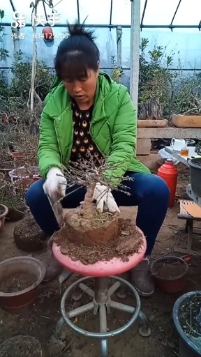 爱如何挽留