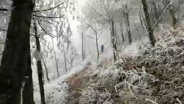 下雪