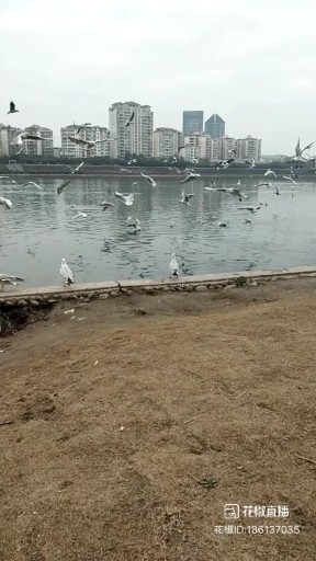 美丽绵阳