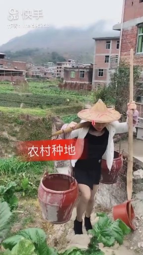 农村种地
