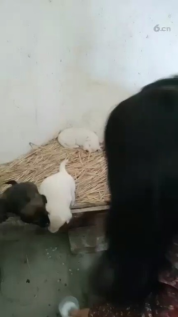 😃