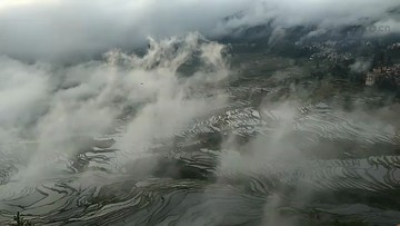 雾中梯田