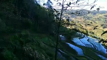 还不错