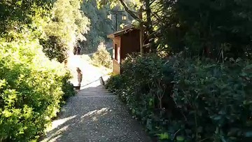 云南梯田的小路上