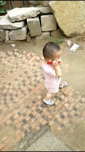 小家伙挺有范吧