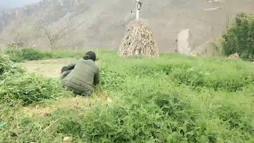 主播看别人薅草