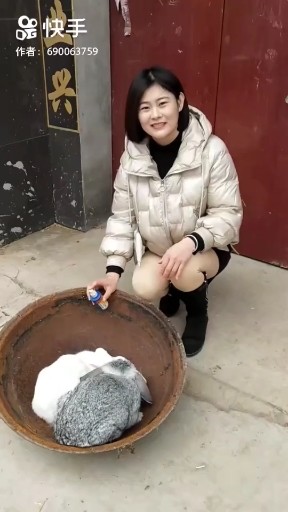 高山流水