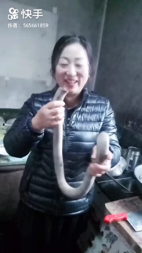 火凤凰