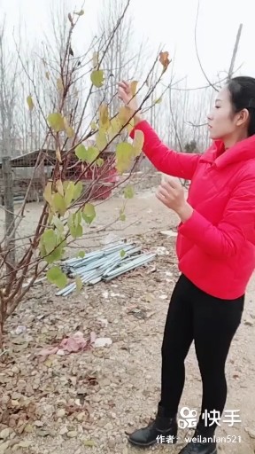 情一动心就痛
