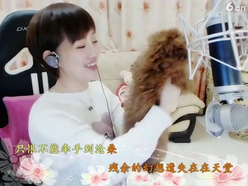 🐶