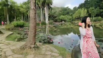 云南西双版纳
