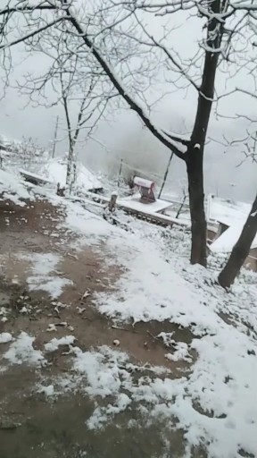 感谢你曾来过