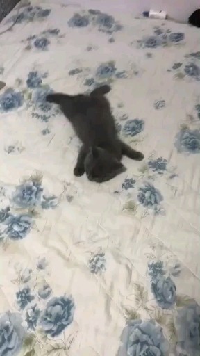 这睡的