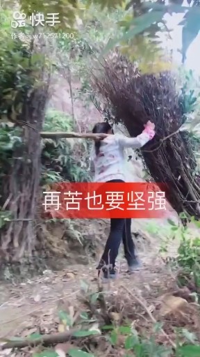 再苦再累也要坚强