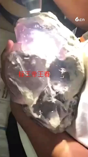 公盘标王帝王春