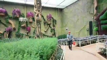 云南的西山小人国