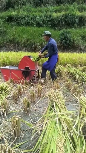 年老力如牛