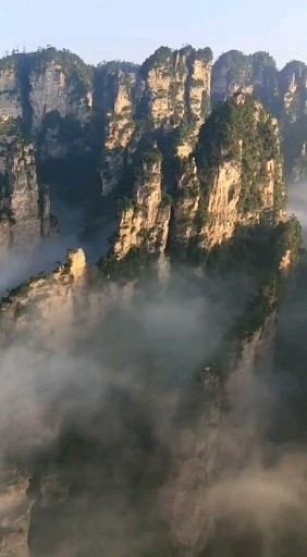 张家界国家森林公园，杨家界云海