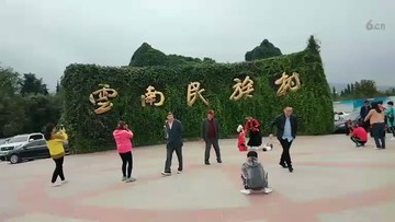 云南颠池