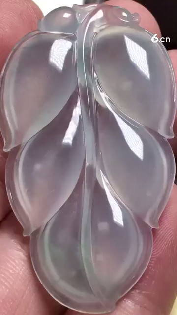 高冰叶子，种老3900