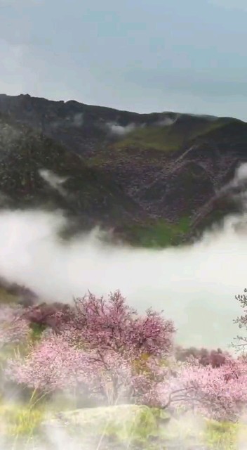 良辰美景 怎奈独缺一人