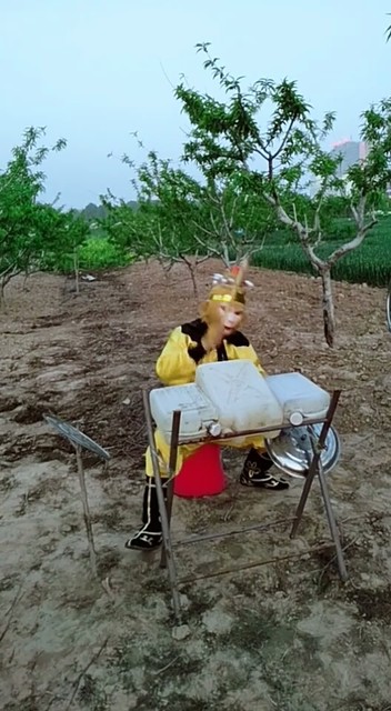 猴哥取经之后