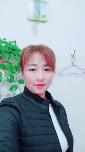不能忘不能爱