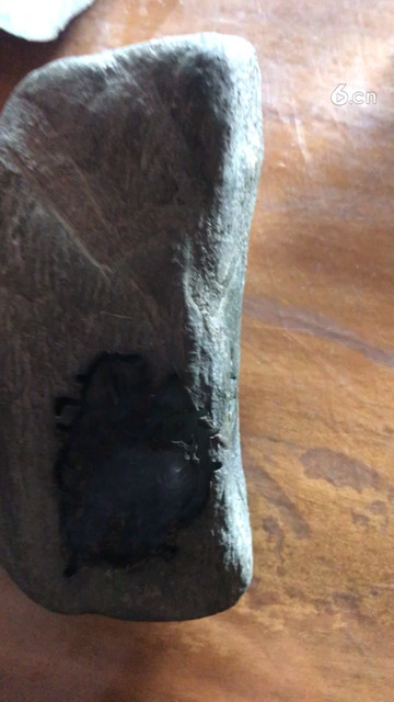 莫西沙水泥