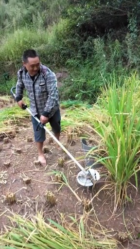 割稻新发明
