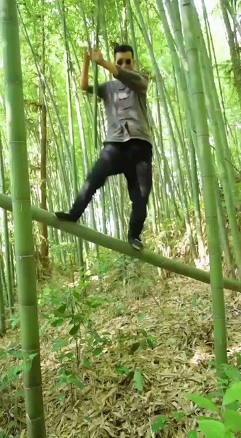 功夫猪蹄《1》