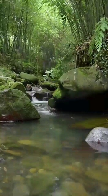 秋葵土豆泥