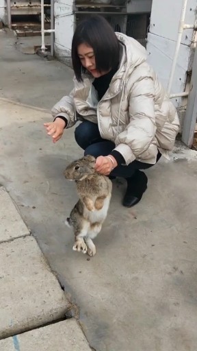 往后余生