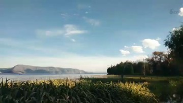 饵海的舌扣