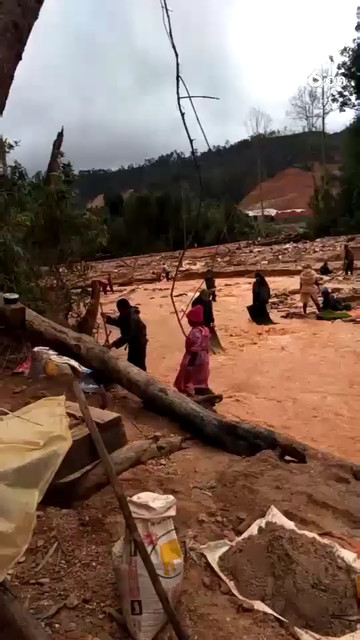 缅甸挖金