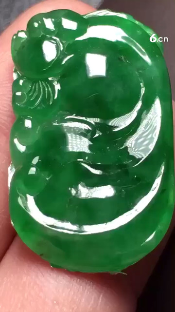 3800阳绿年年有余，