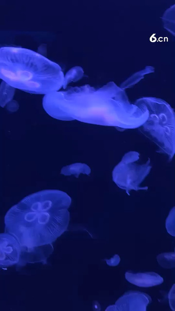 美美的