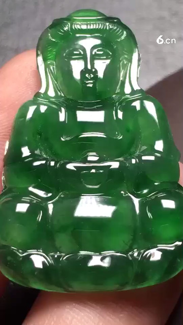 6600阳绿观音，种老起